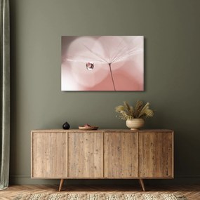 Kép - Egy csepp harmat (90x60 cm)