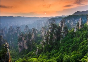 Kép - Zhangjiajie Nemzeti Erdei Park (70x50 cm)