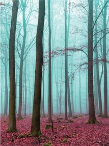 Fotótapéta Őszi erdő a ködben vinil 184x254 +ragasztó