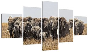 Modern kép - állatok (125x70cm)