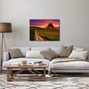 Mező és a színes ég képe (70x50 cm)
