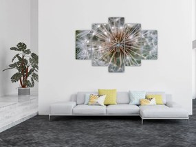 Pitypang képe (150x105 cm)