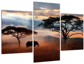 Kép - Serengeti Nemzeti Park, Tanzánia, Afrika (90x60 cm)