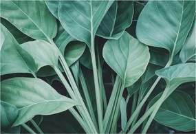 Flizelin tapéta Flizelin falikép Prémium zöld természet 152x104