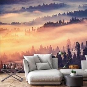 Fotótapéta - Erdő a ködben (152,5x104 cm)