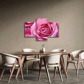 Rózsa képe (90x60 cm)