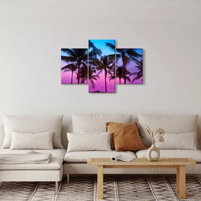 Kép - Pálmafák Miamiban (90x60 cm)