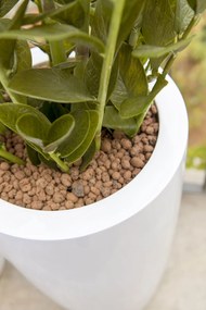 Pottery Pots Valósághű mesterséges növény Zamiokulkas - Fazekas edények