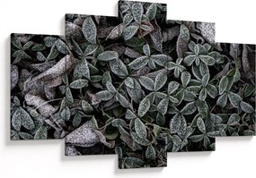 Kép - Fagyasztott növények (150x105 cm)