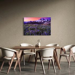 Kép - Vulkán és a virágok (90x60 cm)