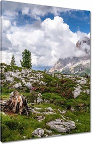 Vászonkép 60x80 Hegyi kilátás Tájkép