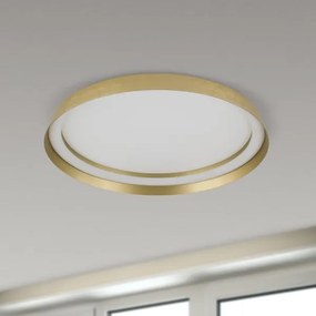 Orion DL 7-699/45-LED MANTA LED lámpa 38W/230V 2700-4000K, 45 cm átm.