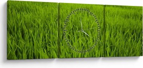 A fű képe (órával) (90x30 cm)