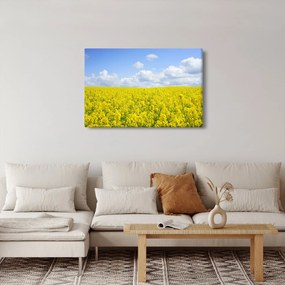 Egy sárga mező képe (90x60 cm)