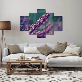Lila virág képe (150x105 cm)
