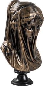 Woman Wıth Veil