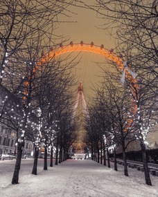 Poszter 40x50cm London Eye éjszaka fákkal, Assaf Frank