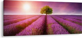 Levendula mező képe (120x50 cm)