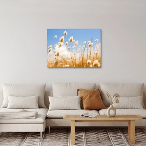 Kép - Arany mező (70x50 cm)