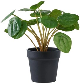 Műnövény (magasság 28 cm) Pelia – House Nordic