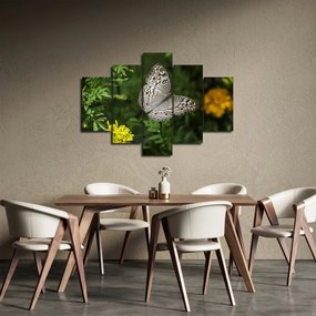 Kép - fehér pillangó (150x105 cm)