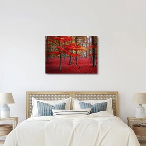Kép - vörös erdő (üvegen) (70x50 cm)