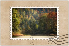 Poszterek 60x40 Erdei táj Kilátás