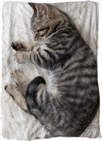 Alvó Takaró Hatalmas Macska 3D Hatás Vicces Macska Cica Nagy Takaró 150x200
