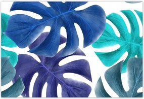 Poszterek 155x105 Monstera Levelek Kék