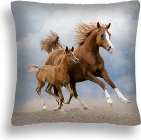 Párna 40x40 Kanca És Csikó Ló 43 Termék Pl