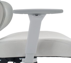 Irodai szék, világosszürke/szürke, teherbírás 150 kg, ERMEN