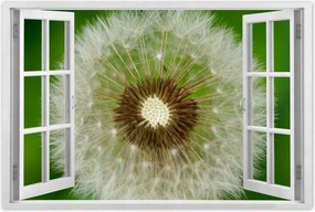 Poszterek 120x80 Pitypang Virág Virágok