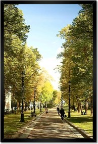 Poszterek keretben 40x60 Park a nyári időszakban