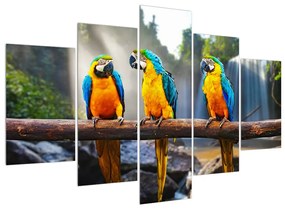 Papagály kép (150x105 cm)