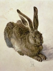 Reprodukció Hare (1502)