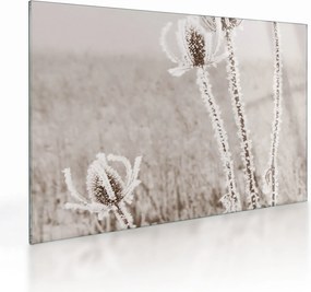 Üveg kép - Gyűszű télen (70x50 cm)