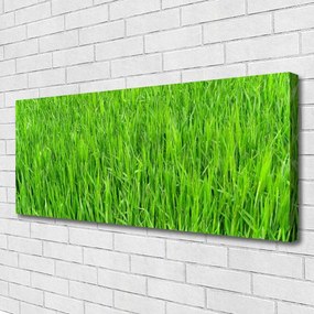 Canvas kép Nature Green Grass Turf 125x50 cm