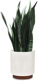 Enspijk, virágcserepek, diófa, Polystone, kézzel készített, 2 méretben