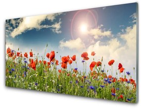 Akrilkép Sun mezei virágok Természet 140x70 cm