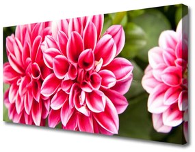 Vászonkép Virág növény természet 120x60 cm
