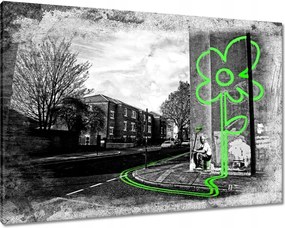 Vászonkép 100x70 Banksy Lime virág