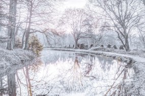 Poszter 45x30cm Csatorna fákkal, Assaf Frank