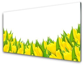 Akrilkép Tulipán virágok természet 100x50 cm 2 fogas