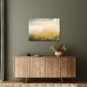 Kép - Mező ősszel (üvegen) (70x50 cm)