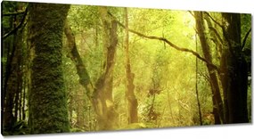 Vászonkép 115x55 Varázslatos erdő Tájkép
