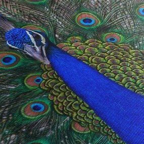 Kép - Páva (150x105 cm)