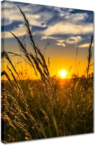 Vászonkép 30x40 Naplemente a fű között