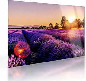 Levandula mező képe (üvegen) (70x50 cm)