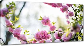 Vászonkép 115x55 Rózsaszín virágok Gyönyörű