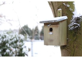 Fa madárház – Esschert Design